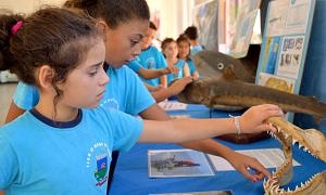 Museu marinho chega a Morro da Fumaça