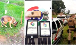 Polícia Militar prende traficante de Morro da Fumaça com grande quantidade de maconha