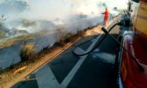 Bombeiros de Morro da Fumaça combatem incêndio em vegetação na BR-101