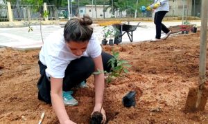 Moradores plantam flores e árvores em revitalização de terreno baldio