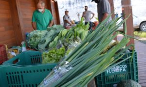 Servidores da Prefeitura de Morro da Fumaça recebem vale para utilizarem na Feira da Agricultura Familiar