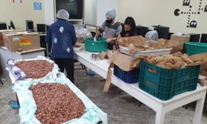 Escola Pietro Maccari realiza Festa Junina neste sábado