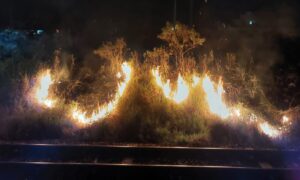 Bombeiros controlam fogo em vegetação em Morro da Fumaça