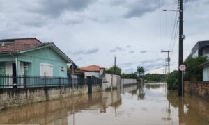 Famílias desalojadas no Distrito de Estação Cocal