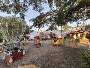 Os bastidores do sucesso do Natal de Morro da Fumaça