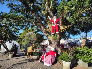 Os bastidores do sucesso do Natal de Morro da Fumaça