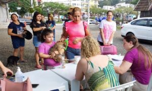 Governo de Morro da Fumaça realiza evento Bem-Estar Animal em Estação Cocal neste final de semana