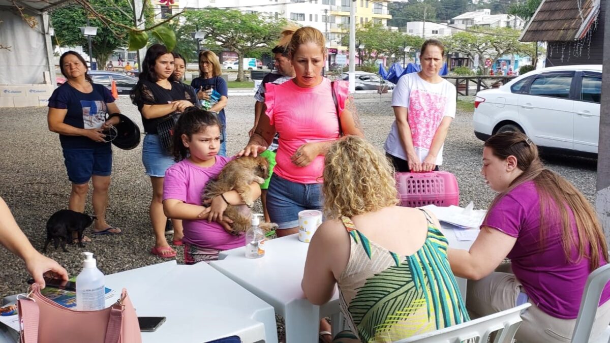 Governo de Morro da Fumaça realiza evento Bem-Estar Animal em Estação Cocal neste final de semana