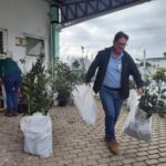 Agricultura fumacense realiza entrega de aproximadamente 600 mudas frutíferas e ornamentais