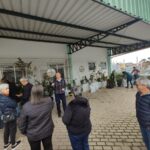 Agricultura fumacense realiza entrega de aproximadamente 600 mudas frutíferas e ornamentais