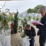 Agricultura fumacense realiza entrega de aproximadamente 600 mudas frutíferas e ornamentais