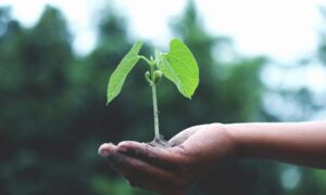 Reciclagem e sustentabilidade são aliadas no desenvolvimento e futuro da sociedade