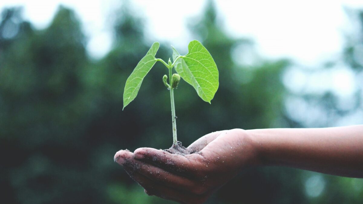 Reciclagem e sustentabilidade são aliadas no desenvolvimento e futuro da sociedade