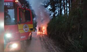 Incêndio destrói veículo em Linha Torrens