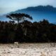 Frente fria e massa de ar polar derrubam temperaturas em Santa Catarina