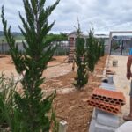 Moradores realizam melhorias na jardinagem do Cemitério de Linha Torrens