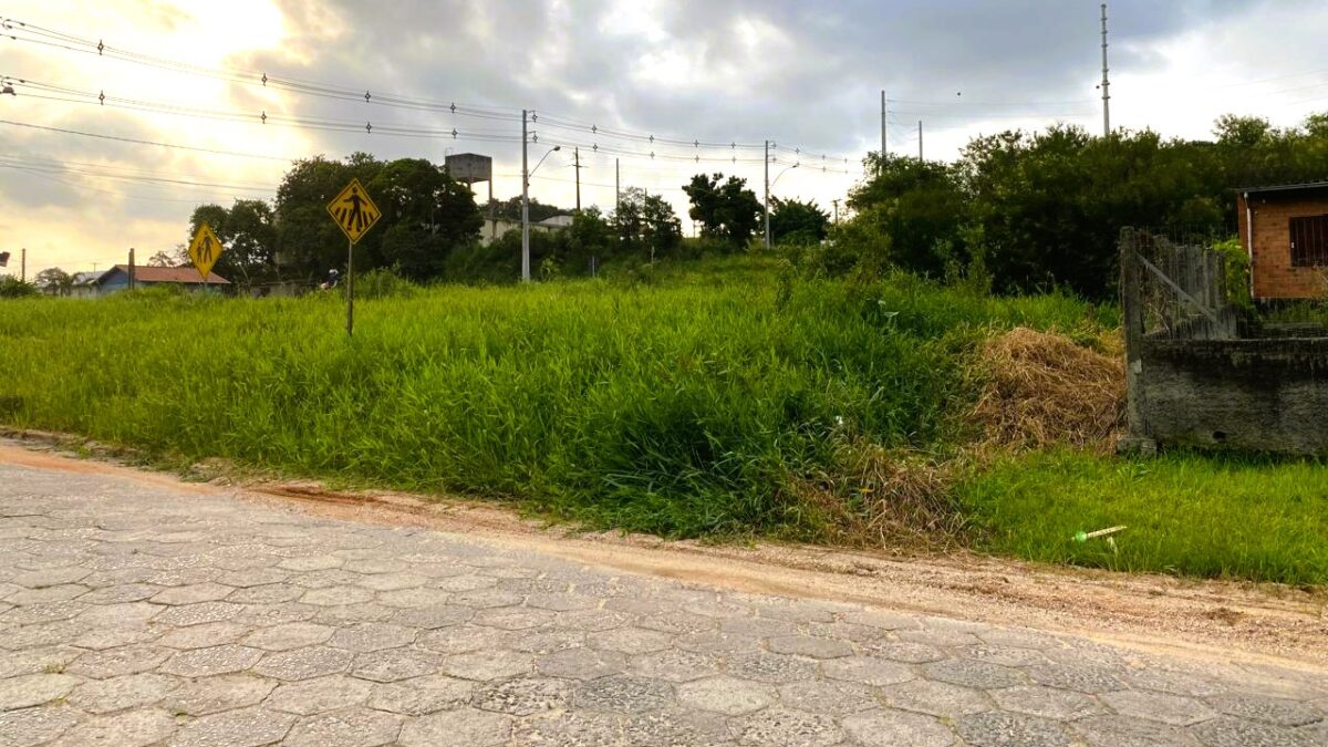 Proprietários de terrenos não conservados podem ser multados, alerta Fumaf