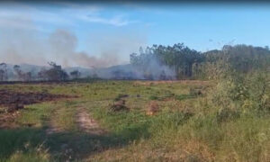 Bombeiros de Morro da Fumaça combatem incêndio em vegetação