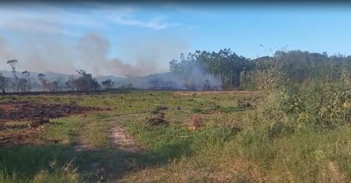 Bombeiros de Morro da Fumaça combatem incêndio em vegetação