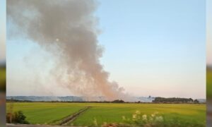 Incêndios em vegetação afetam moradores e geram riscos à saúde e ao meio ambiente