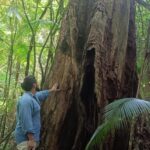 Biólogo revela espécies da fauna silvestre em mata de Morro da Fumaça