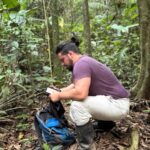 Biólogo revela espécies da fauna silvestre em mata de Morro da Fumaça