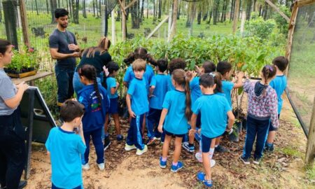 Em ação de educação ambiental, alunos visitam horto florestal de Morro da Fumaça