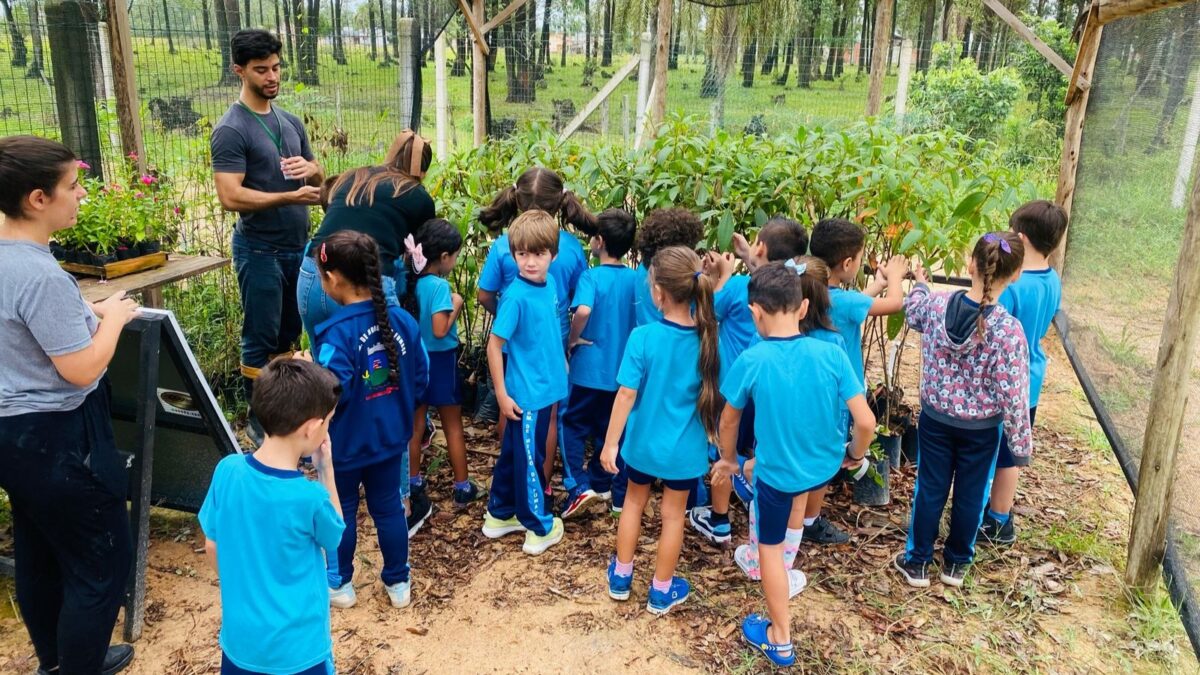 Em ação de educação ambiental, alunos visitam horto florestal de Morro da Fumaça